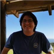 Profesor de música y violín, clases de inicio para todas las edades